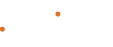 BELSIS Global